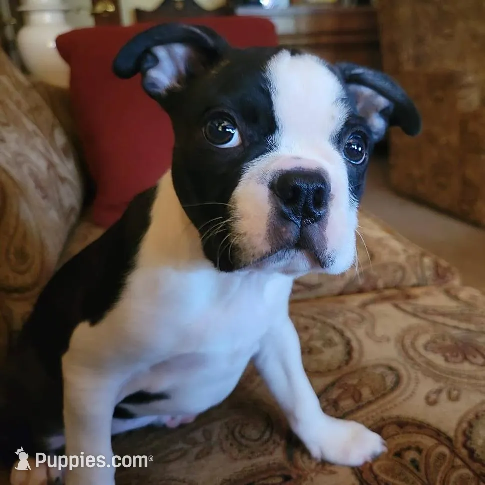 processed/88d917eb-22b5-486b-b140-e10404d48b4d/facility/4120d994-7ec7-46aa-ad0c-9c9110199285