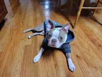 processed/88d917eb-22b5-486b-b140-e10404d48b4d/facility/5bc44873-1cde-4f56-9e2c-0e607b513612