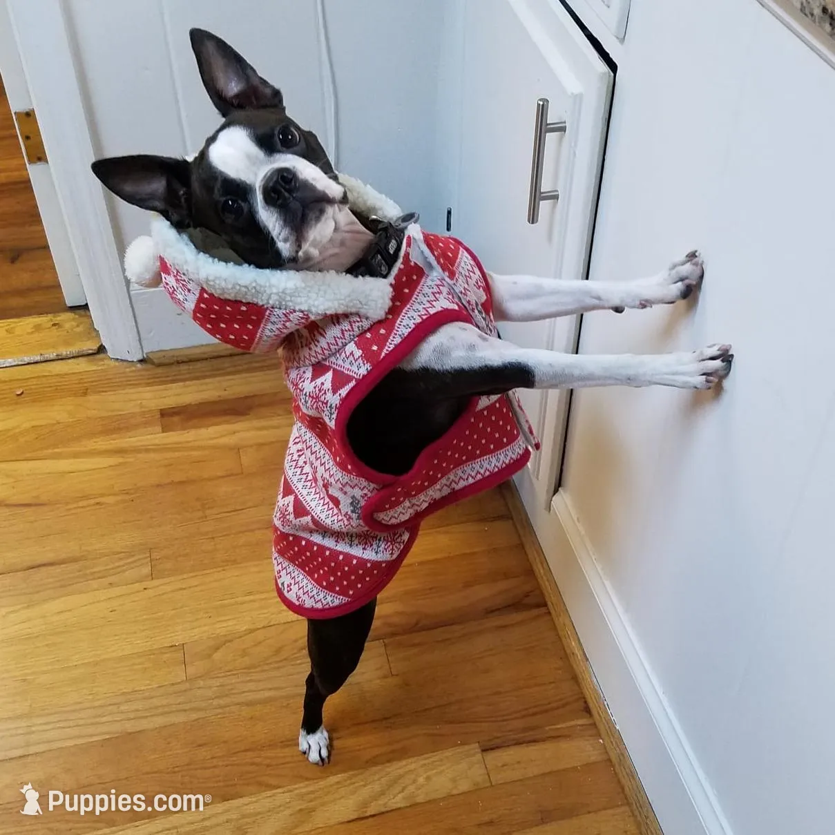 processed/88d917eb-22b5-486b-b140-e10404d48b4d/facility/90b3283c-0c39-474d-b7b2-169f695dc03a