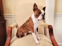 processed/88d917eb-22b5-486b-b140-e10404d48b4d/facility/91f24363-a198-45bf-9b13-4880fd16ad4e