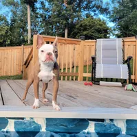 processed/88d917eb-22b5-486b-b140-e10404d48b4d/facility/93e992d1-df02-45f1-b444-207ad7d4b60f