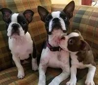 processed/88d917eb-22b5-486b-b140-e10404d48b4d/facility/d5fe58bc-9fac-4098-8c4f-d219a4cc456a