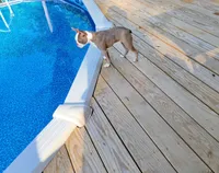 processed/88d917eb-22b5-486b-b140-e10404d48b4d/facility/dc9091fd-6a0b-467c-a1b2-a89621f0168e