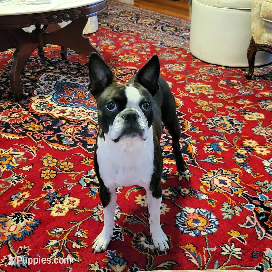 processed/88d917eb-22b5-486b-b140-e10404d48b4d/facility/f5ac0f8a-d7cf-43cc-a33b-3abc8ba3786f