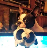 processed/88d917eb-22b5-486b-b140-e10404d48b4d/facility/f6e1e37b-d448-4870-adaf-7cbca2985f7f