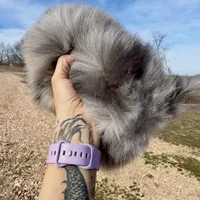 AKC Amore, a male Pomeranian for sale in Spokane, MO – Photo 8 of 10