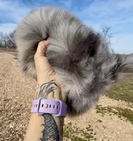 AKC Amore, a male Pomeranian for sale in Spokane, MO – Photo 8 of 10