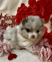 processed/88d931ff-b1c6-4b62-b746-af5c7aa3f7a0/listing/18ec0c3c-e2d2-4263-9f9f-e99f08cc0919/35ce096a-e3ae-4647-a718-2b0c6ff68fad