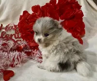 processed/88d931ff-b1c6-4b62-b746-af5c7aa3f7a0/listing/18ec0c3c-e2d2-4263-9f9f-e99f08cc0919/3be3f929-524d-4699-86f4-4fa0c1d615c1