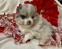 processed/88d931ff-b1c6-4b62-b746-af5c7aa3f7a0/listing/18ec0c3c-e2d2-4263-9f9f-e99f08cc0919/51337ccf-7e72-43c7-8d66-88eae71deb5f