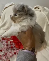 processed/88d931ff-b1c6-4b62-b746-af5c7aa3f7a0/listing/18ec0c3c-e2d2-4263-9f9f-e99f08cc0919/666f6ee6-bfc0-4606-86f5-3fe1ed8eefe8