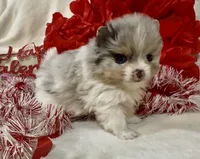 processed/88d931ff-b1c6-4b62-b746-af5c7aa3f7a0/listing/18ec0c3c-e2d2-4263-9f9f-e99f08cc0919/6762eee1-6ac9-4523-b0b0-147a9226eb16