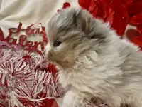 processed/88d931ff-b1c6-4b62-b746-af5c7aa3f7a0/listing/18ec0c3c-e2d2-4263-9f9f-e99f08cc0919/8d26d26e-9579-4e52-8372-6b8e3a498b40