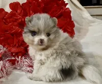 processed/88d931ff-b1c6-4b62-b746-af5c7aa3f7a0/listing/18ec0c3c-e2d2-4263-9f9f-e99f08cc0919/ea5cafdf-67ad-4716-ba70-7e70263f8b2c