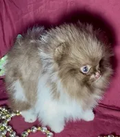 processed/88d931ff-b1c6-4b62-b746-af5c7aa3f7a0/listing/ed993974-f748-4122-ba19-88439df3d29c/1c45474f-fd17-4b73-9776-4f2e315ef119