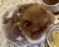 processed/88d931ff-b1c6-4b62-b746-af5c7aa3f7a0/listing/ed993974-f748-4122-ba19-88439df3d29c/37fe3fe0-2d8f-4241-b100-64abf38951bc