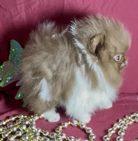 processed/88d931ff-b1c6-4b62-b746-af5c7aa3f7a0/listing/ed993974-f748-4122-ba19-88439df3d29c/38e81252-e3a2-433e-a1a4-b5d6a07d8f4f