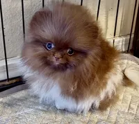 processed/88d931ff-b1c6-4b62-b746-af5c7aa3f7a0/listing/ed993974-f748-4122-ba19-88439df3d29c/6fa2e9b8-bd57-40e5-99f5-e7846a759769