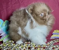 processed/88d931ff-b1c6-4b62-b746-af5c7aa3f7a0/listing/ed993974-f748-4122-ba19-88439df3d29c/910f91ad-b46e-48d5-b34a-213552ea6447