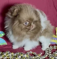 processed/88d931ff-b1c6-4b62-b746-af5c7aa3f7a0/listing/ed993974-f748-4122-ba19-88439df3d29c/e563ece8-3d64-4fa5-aa65-92d74d95a5d7