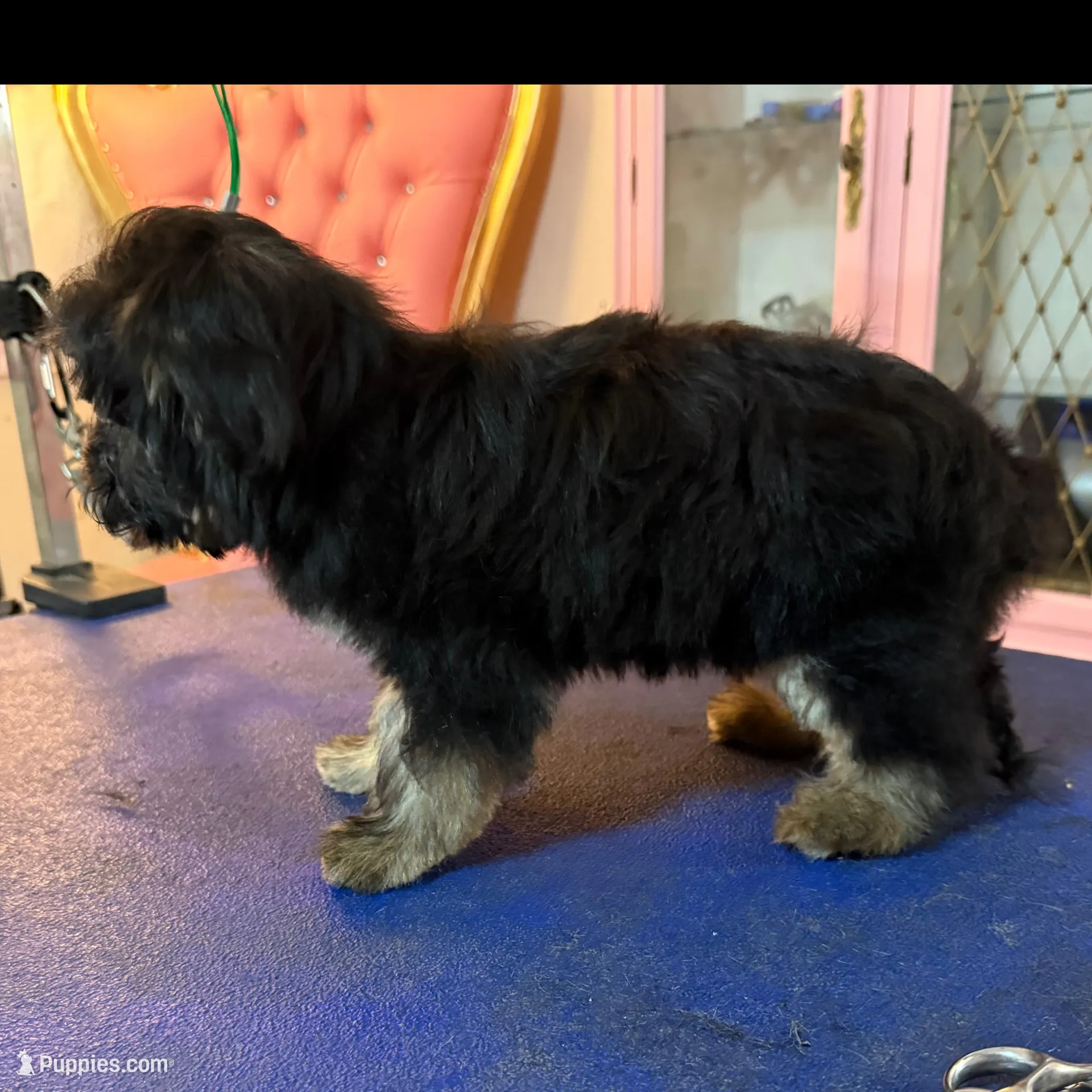 processed/88da0835-4e83-43cd-8565-2513a1c16929/listing/764d4141-c3e1-413a-9dad-d2f27f1b299d/15c0fc1d-12f3-45f6-90e8-ba34e49fbcae