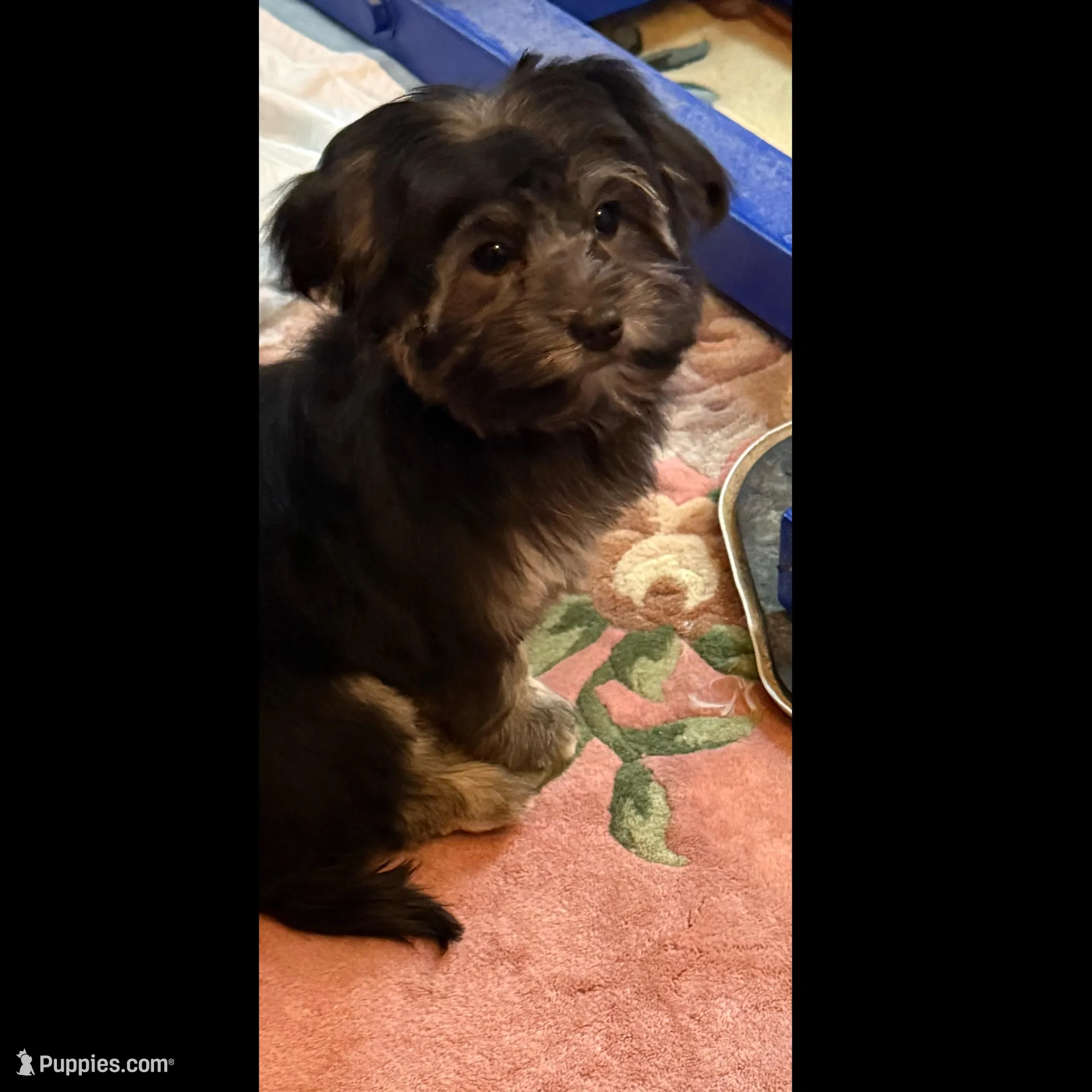 processed/88da0835-4e83-43cd-8565-2513a1c16929/listing/764d4141-c3e1-413a-9dad-d2f27f1b299d/29c0957c-0051-40d5-8fdc-4504099bb3f8