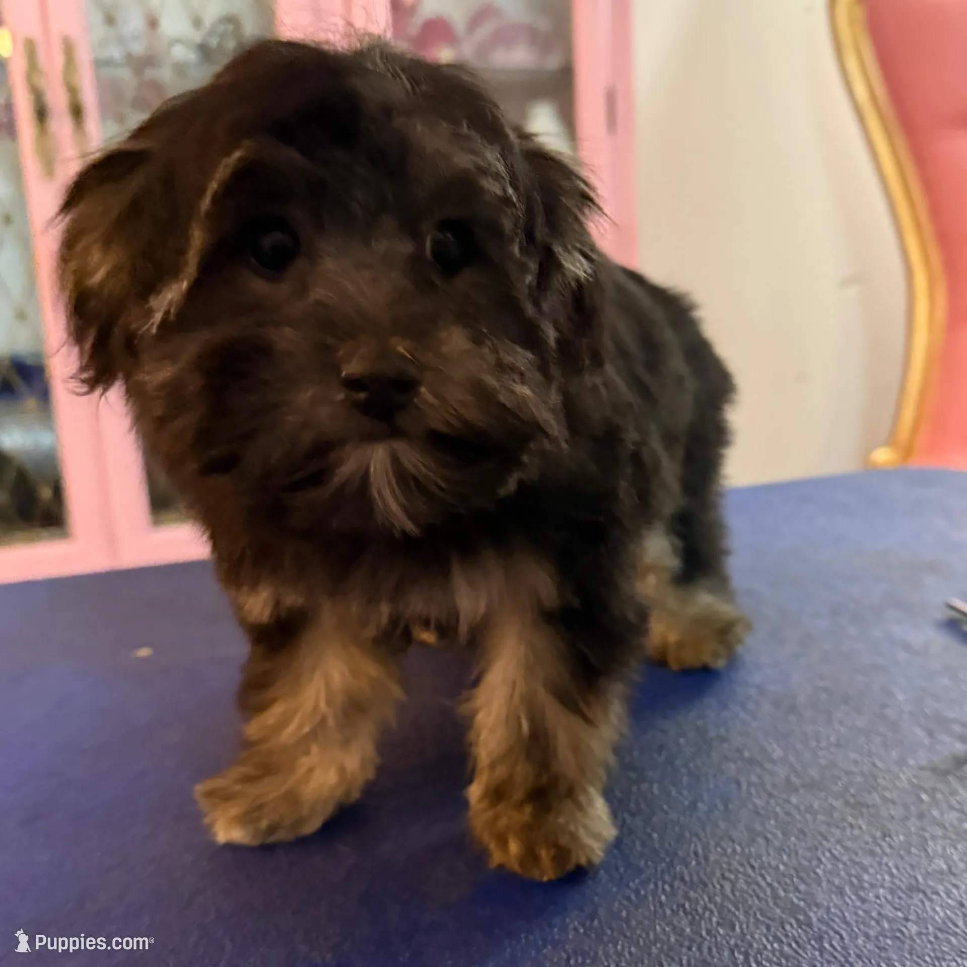 processed/88da0835-4e83-43cd-8565-2513a1c16929/listing/764d4141-c3e1-413a-9dad-d2f27f1b299d/c53768d7-def3-420a-bca1-7297e37d7001