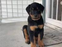 processed/88e9fef9-8f2d-4f51-bb9a-8bd446c77d66/listing/144a2830-5631-43c3-940f-7326722bc756/3ec84b1d-a4ec-4baf-85c4-7544962c483f