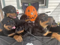 processed/88e9fef9-8f2d-4f51-bb9a-8bd446c77d66/listing/144a2830-5631-43c3-940f-7326722bc756/ac1e06da-8c14-47fa-a17b-6dccb6eb8654