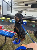 processed/88e9fef9-8f2d-4f51-bb9a-8bd446c77d66/listing/33aa0031-185e-405a-890a-ca86da1c05fc/08e7d4ab-1fa6-419a-9a03-ba4b43216866