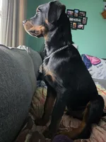 processed/88e9fef9-8f2d-4f51-bb9a-8bd446c77d66/listing/33aa0031-185e-405a-890a-ca86da1c05fc/62884fe3-d933-4432-8f96-a3fae580c1ab