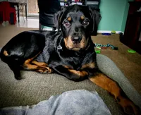 processed/88e9fef9-8f2d-4f51-bb9a-8bd446c77d66/listing/33aa0031-185e-405a-890a-ca86da1c05fc/a12812bf-0f9a-4ad4-9bf4-f56b1b95f1d2