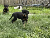 processed/88e9fef9-8f2d-4f51-bb9a-8bd446c77d66/listing/a7f461d6-2ddf-426f-bba5-5cd6ef446d37/acddc113-7356-4c63-a491-4810cc13fe01