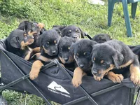 processed/88e9fef9-8f2d-4f51-bb9a-8bd446c77d66/listing/a7f461d6-2ddf-426f-bba5-5cd6ef446d37/aef9143d-79d5-484e-83bd-1eeb79123141