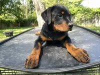 processed/88e9fef9-8f2d-4f51-bb9a-8bd446c77d66/listing/a7f461d6-2ddf-426f-bba5-5cd6ef446d37/e9909d9d-e54c-46a2-8d67-86575d3cd5b3