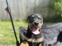 processed/88e9fef9-8f2d-4f51-bb9a-8bd446c77d66/listing/acb71a4a-764a-4ca3-99b7-a68e9b42f2a6/0efc50bd-3e42-4505-b4dc-0e7b8b0df33d