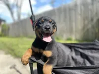 processed/88e9fef9-8f2d-4f51-bb9a-8bd446c77d66/listing/acb71a4a-764a-4ca3-99b7-a68e9b42f2a6/37fa41b6-b82f-4c97-b221-c09828420855