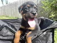 processed/88e9fef9-8f2d-4f51-bb9a-8bd446c77d66/listing/acb71a4a-764a-4ca3-99b7-a68e9b42f2a6/38196aa6-2ebb-4bb2-86a4-6516c51012f0