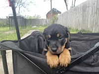 processed/88e9fef9-8f2d-4f51-bb9a-8bd446c77d66/listing/acb71a4a-764a-4ca3-99b7-a68e9b42f2a6/edb67102-8be7-4c47-a557-98ac3308206d