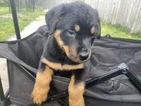 processed/88e9fef9-8f2d-4f51-bb9a-8bd446c77d66/listing/e363e90b-3fef-42ec-a335-6605024e15cd/bcc218d3-5d51-4eec-bc41-ce204b213234