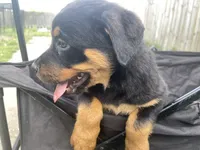 processed/88e9fef9-8f2d-4f51-bb9a-8bd446c77d66/listing/e363e90b-3fef-42ec-a335-6605024e15cd/c2bd1e1c-1366-4257-9a7e-8fec64afd77a