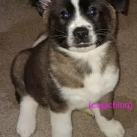 processed/88ebc16a-c544-477f-b7dc-6705abddaf04/facility/f6db0719-ad13-4949-ac78-08460d021094