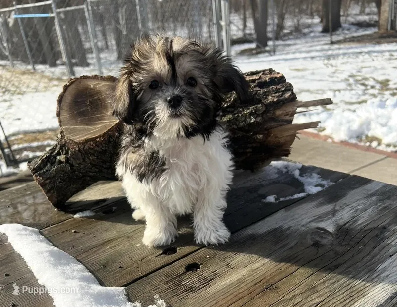 MILWAUKEE AREA GIRL READY