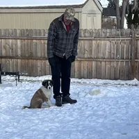 processed/88f2618c-6a69-4219-a54d-a86984261061/listing/62c983cc-24a1-42a2-b5d8-0b21c3560e2c/0cc71185-5d43-4a87-a7d6-8896551ba516