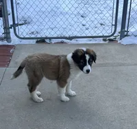 processed/88f2618c-6a69-4219-a54d-a86984261061/listing/62c983cc-24a1-42a2-b5d8-0b21c3560e2c/19052583-3dcc-4fab-8c3a-95c126c78796