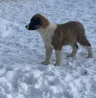 processed/88f2618c-6a69-4219-a54d-a86984261061/listing/62c983cc-24a1-42a2-b5d8-0b21c3560e2c/a2464b4d-18e7-46bb-8c85-ec2492344539