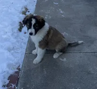 processed/88f2618c-6a69-4219-a54d-a86984261061/listing/62c983cc-24a1-42a2-b5d8-0b21c3560e2c/d77bdf4d-62a5-4d9a-b22c-403d9c97d0c8