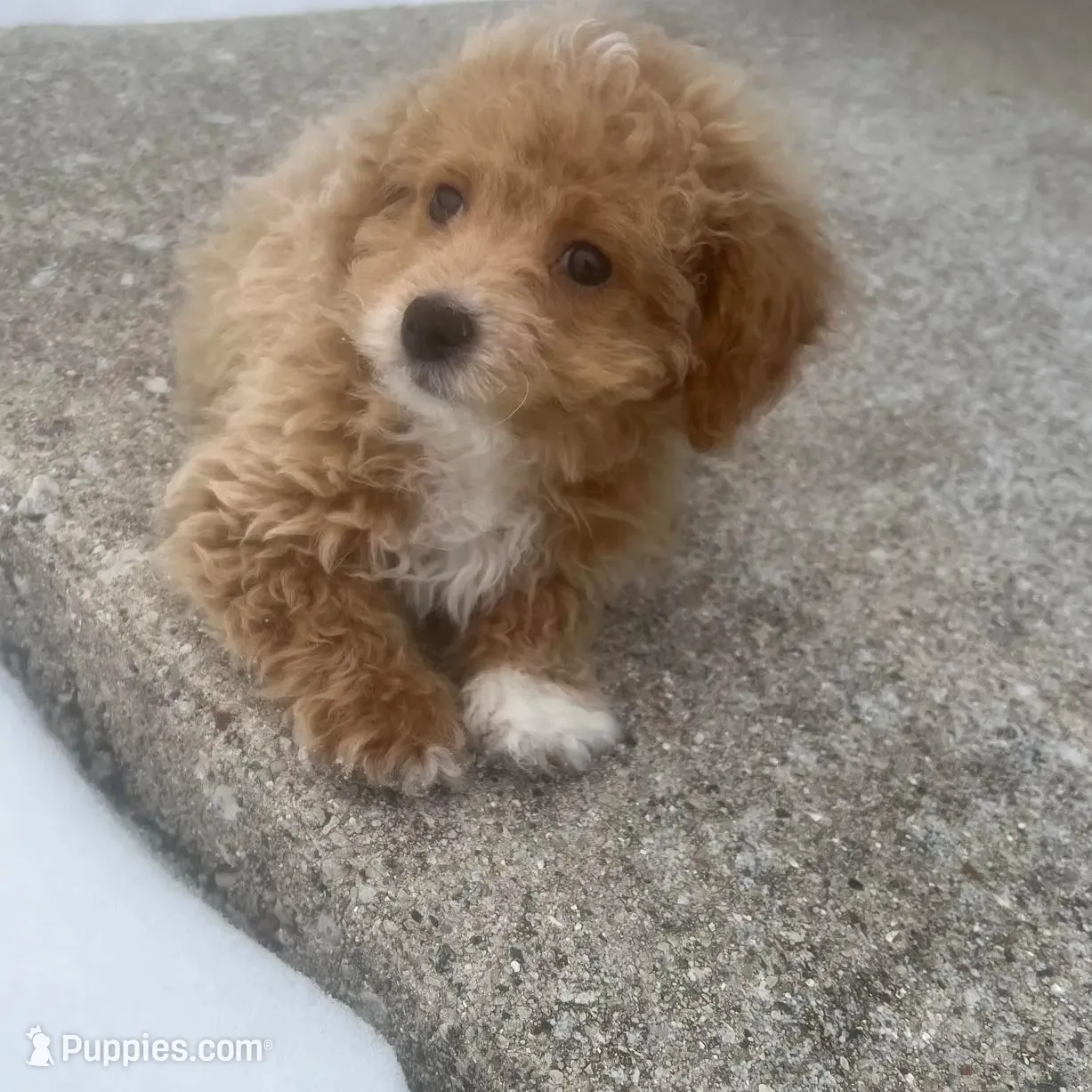 processed/88f2618c-6a69-4219-a54d-a86984261061/listing/b1cfc74f-076e-42a2-9256-1397e26740a2/3f4cf7d3-d063-4a82-aa92-f6a575d7c2f2