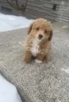 processed/88f2618c-6a69-4219-a54d-a86984261061/listing/b1cfc74f-076e-42a2-9256-1397e26740a2/489a217c-b4e4-4f9f-8fc9-37876d88900c