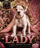 LADY, a female American Bulldog for sale in Houston, TX – 1 of 10